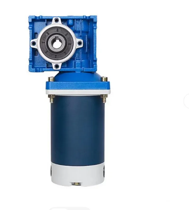 300W worm gear DC reduction motor 12V24v high torque forward and reverse rotation RV30 speed control motor