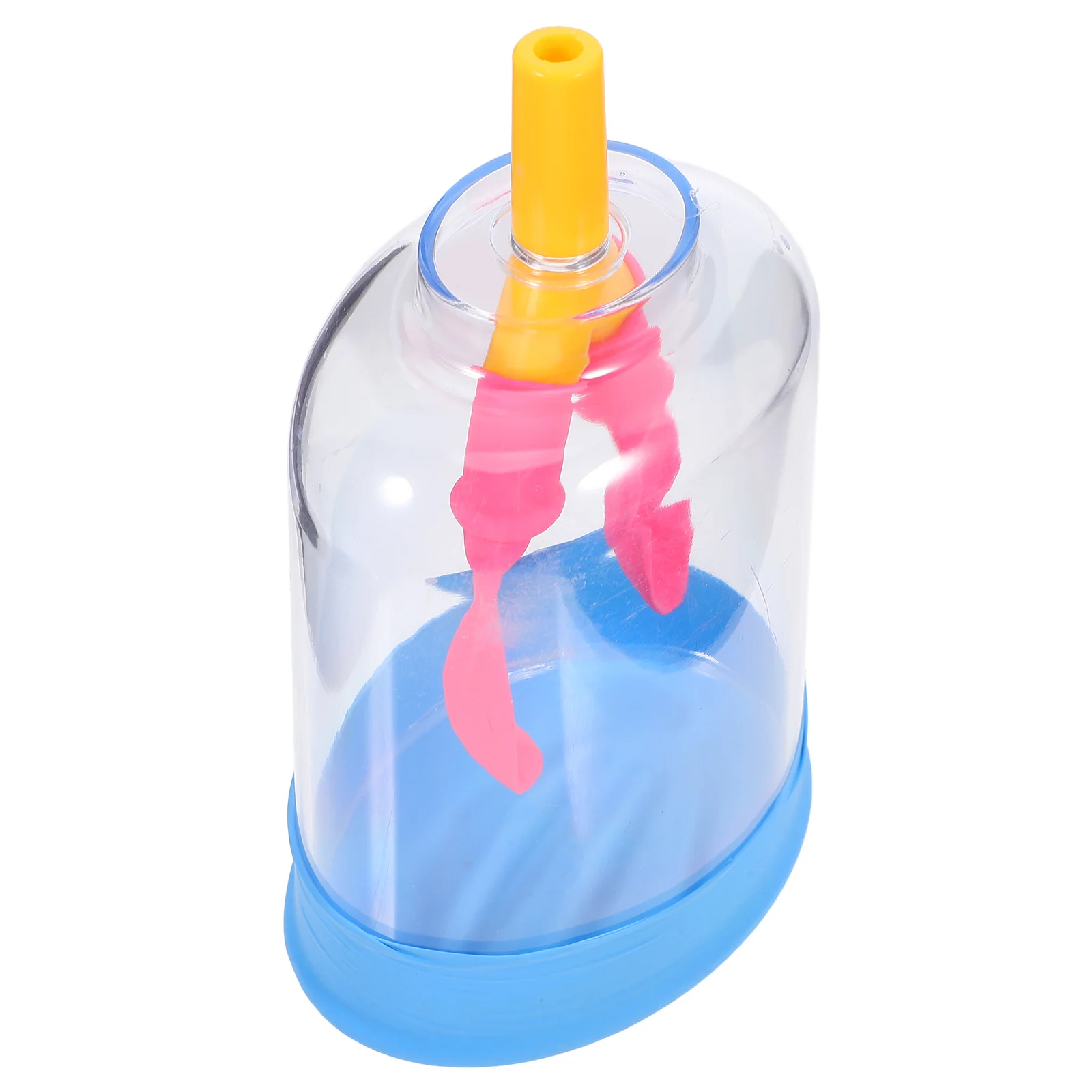 Lung Breathing Model Human Health Display Lungs Kids Anatomy Education Teaching Compact Portable Realistic Lung Function