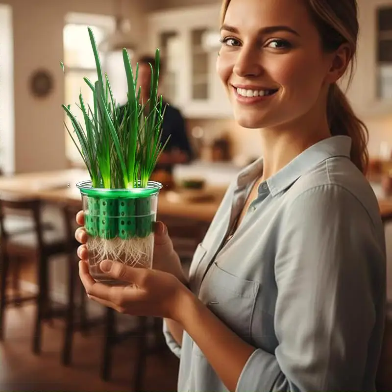 Green Onion Planter Hydroponic Grower Kit 7 Holes Clear Reusable Scallion Seedling Tray Mini Vase For Plant Vegetable Sprouting