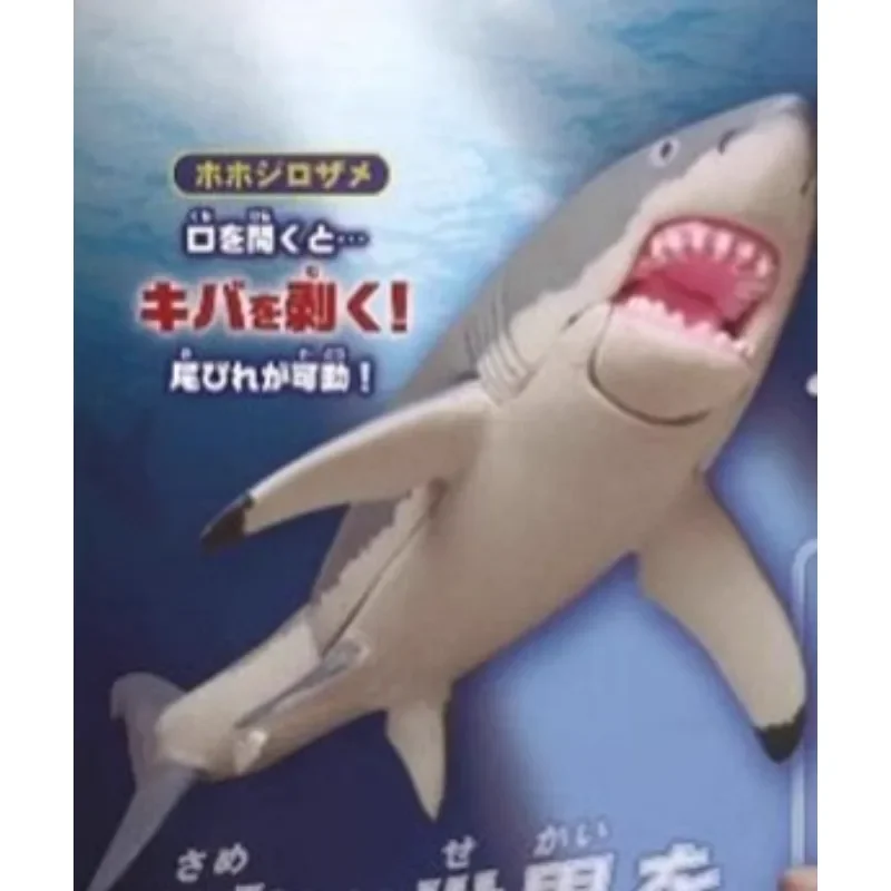 Original Sea Life THE SHARK Gashapon juguetes figura de simulación modelo adornos Juguetes