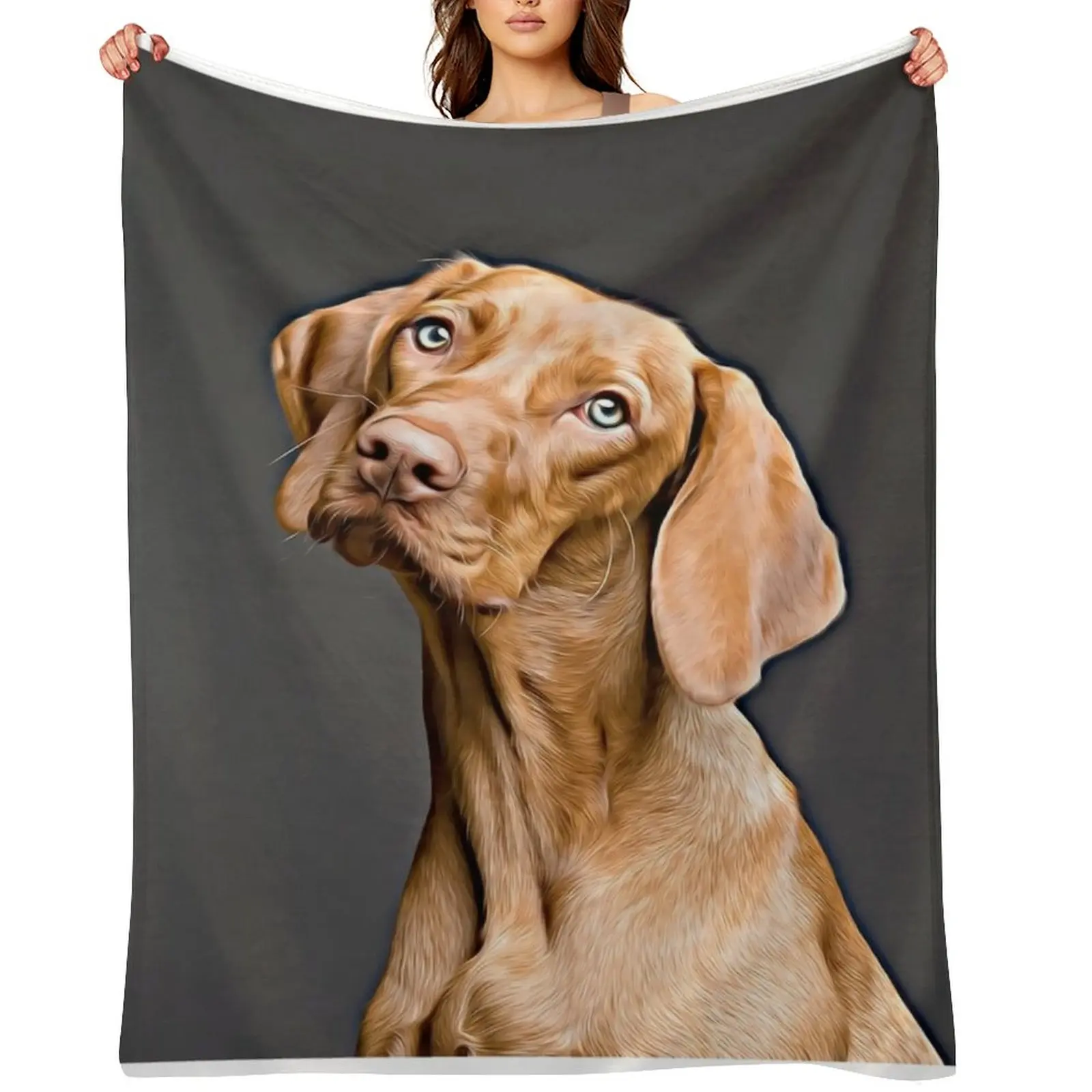 

Vizsla Strikes A Pose Throw Blanket Luxury Throw Blankets For Sofas Warm Shaggy Blankets