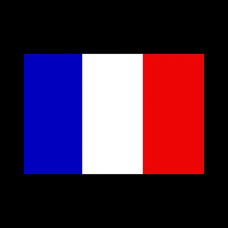 2 Pieces France French Flag Logo LED Car Interior Decoration Accessories  Car Door Welcome Laser Projector Shadow Lights