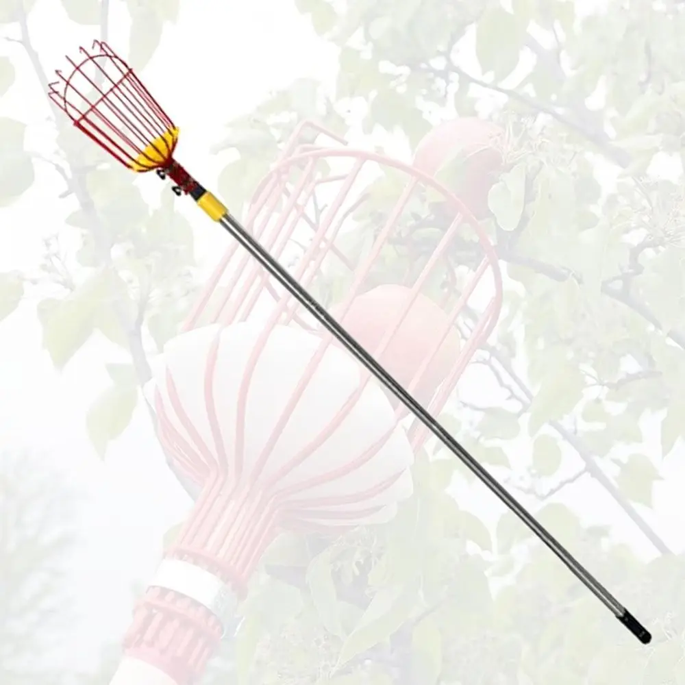 높은 과일을 수확할 수 있는 바구니가 달린 텔레스코핑 수확봉: 아보카도, 도토리, 레몬, 배, 망고