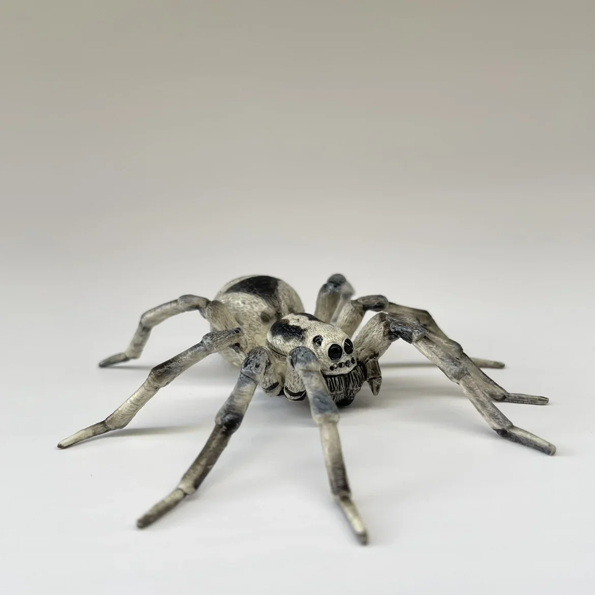 Tarantula pająk symulacja owada Model zwierzęcia kolekcja zabawek Ornament plastikowa zabawka statyczny Model figurka zwierzątko