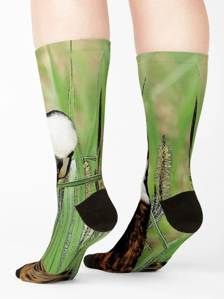 Whistling Duck Socks compression Climbing loose kawaii Mens Socks Women's