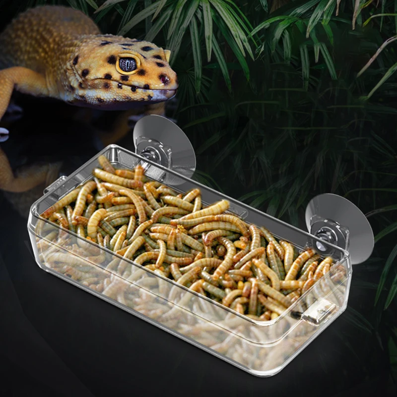 Pet Reptile Transparent Feeder Anti-escape Food Bowl Worm Live Container With Strong Suction Cups Pet Supplies