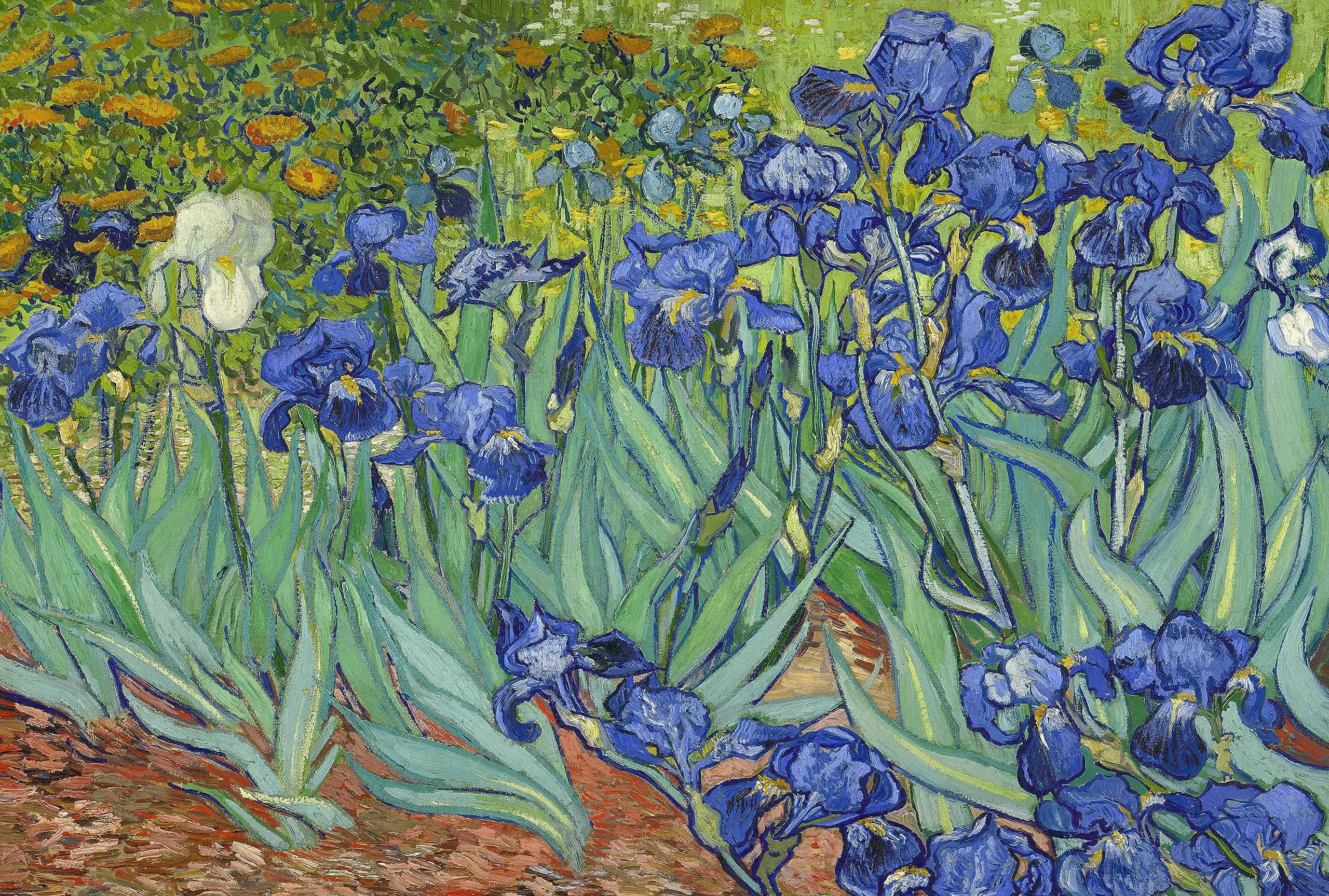 Puzzle dla dorosłych 150/300/500/1000 sztuk Irysy Vincenta Van Gogha Puzzle do gry rodzinnej Prezent urodzinowy