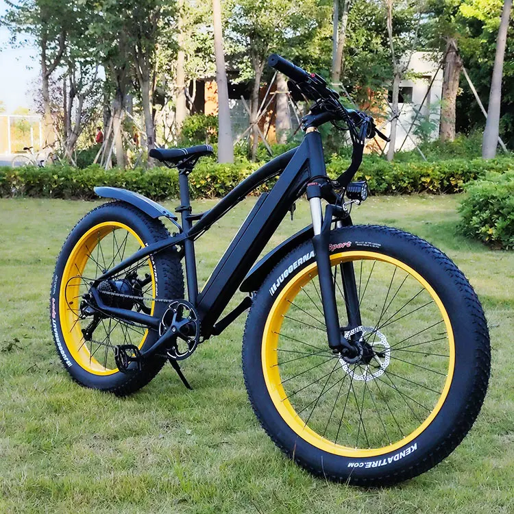 China Best Electric Mountain Bike 2023 Uk Electric Bicycle 1000w Mountain