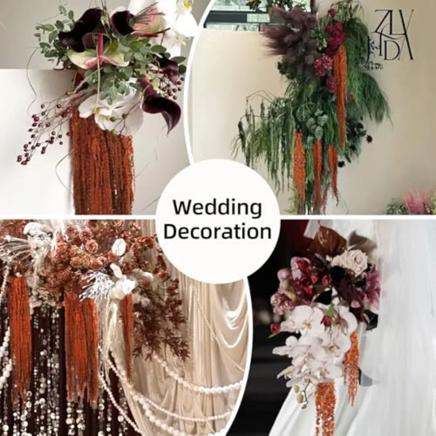 5 قطعة أمارانثوس المجففة زهور معلقة زهرة محفوظة طبيعية لمعرض قوس الزفاف الجدار الشنق عاشق الدموع الأزهار أرا #5