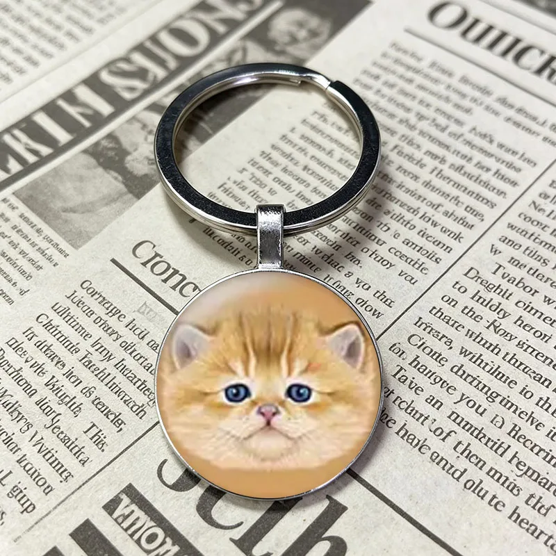 Clean Simple Realistic Tabby Keychain Shorthair Kitty Circular Glass Key Ring Gentle Cat Charm