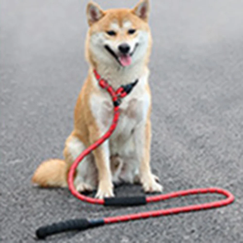 2M/3M/5M Długa lina Treningowa smycz dla psa Wytrzymała nylonowa smycz do treningu zwinności dla małych średnich i dużych psów