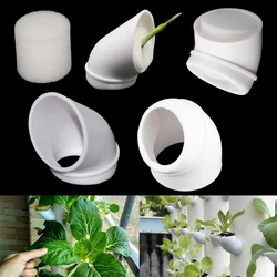 10Pcs PVC Pipe Soilless Hydroponics Fixed Plant Cups and Sponges Diameter 32mm Interface Plants Vegetables Seeds Nurturing Cups