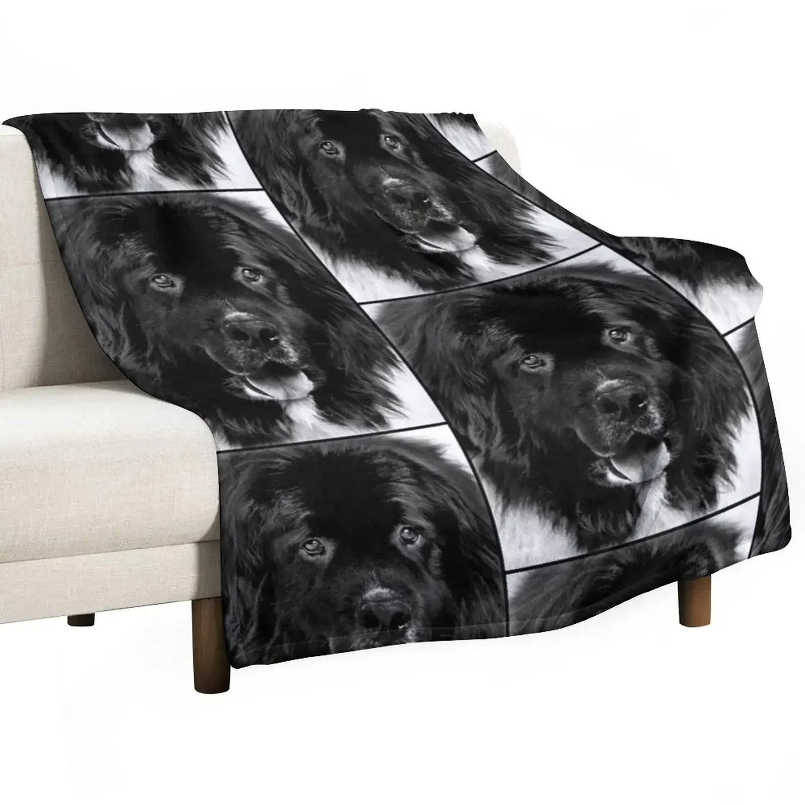 Newfoundland Dog Portrait in Black and White Throw Blanket bed plaid Beach Sofa Quilt Blankets