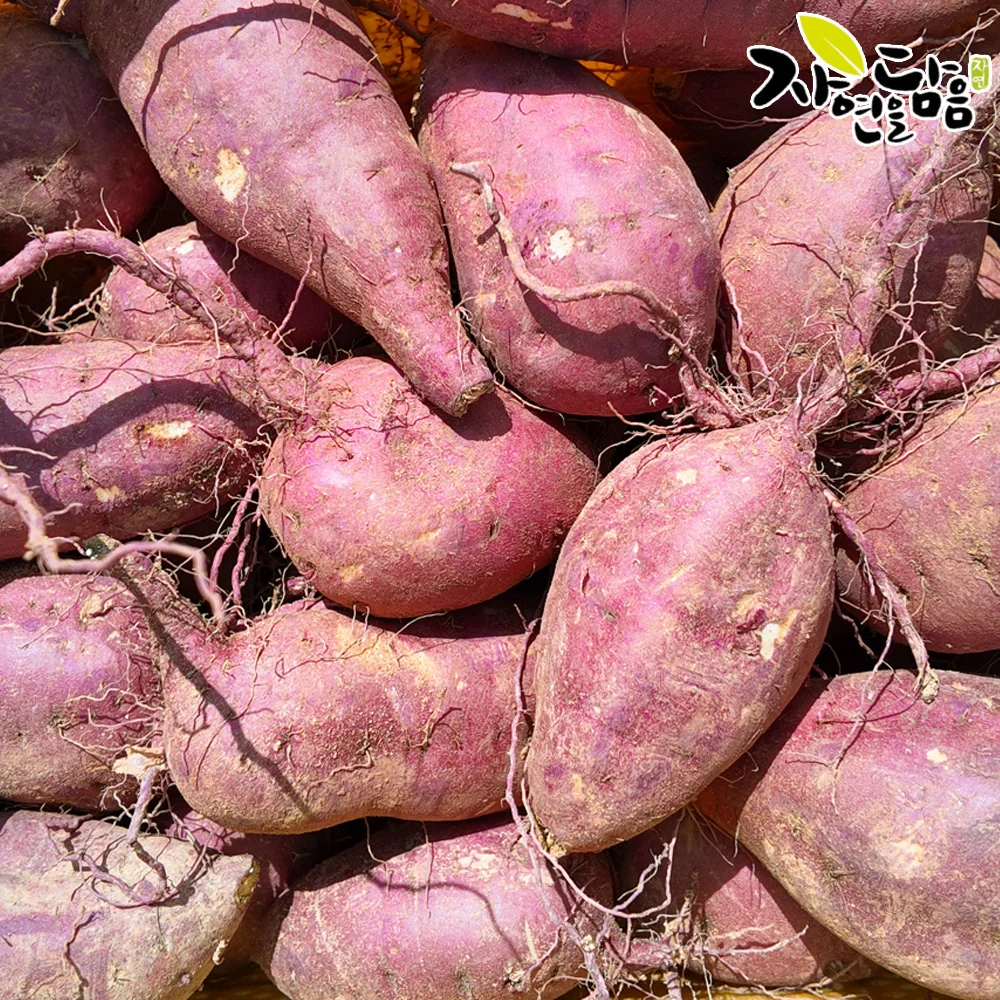 Nature's Bounty Hwangto Haenam عسل البطاطا الحلوة (Beniharuca) بحجم 2 كجم/ مباشرة من Haenam