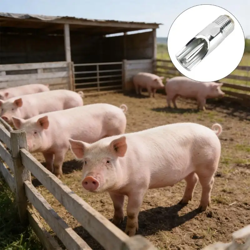 QX2E 10 Count Automatic Swine Drinkers Strong Metal Build For Outdoor Use