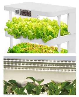 Intelligent Fully Automatic Vertical Garden Farming Vegetable Hydroponic Cabinet Growing System Kit Pump Small Multilayer