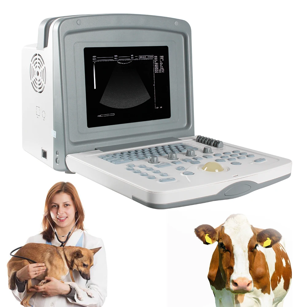 

Clinic Machine Color Doppler Veterinary Ultrasound Equipment Portable For Animal