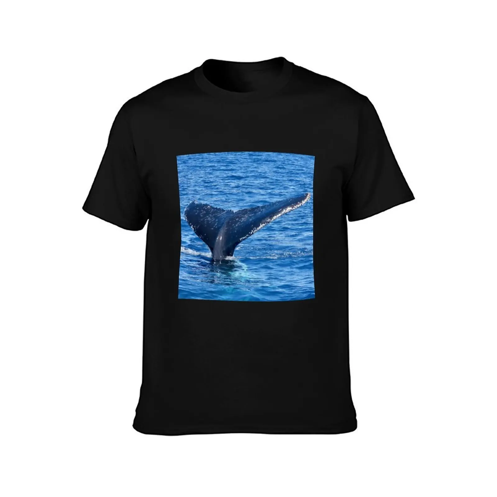 Whale watching Hervey Bay tail T-Shirt g man t shirts for men T-Shirt