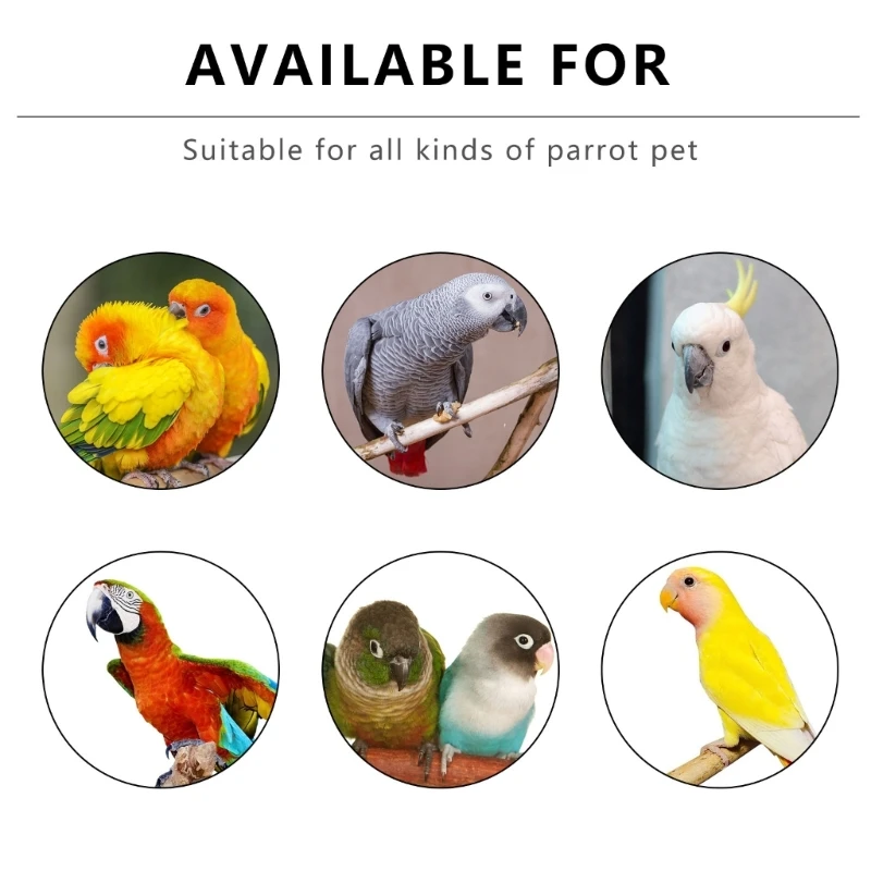 Thumbnail 2 - #36 Latest Bird Ladders & Perches Offers