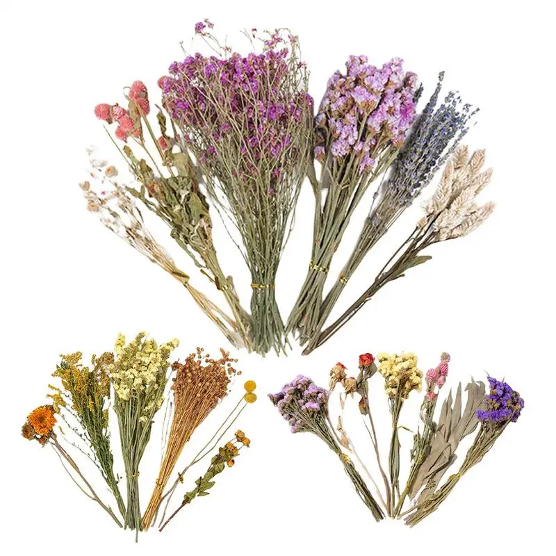 Natural Dried Flowe… - image