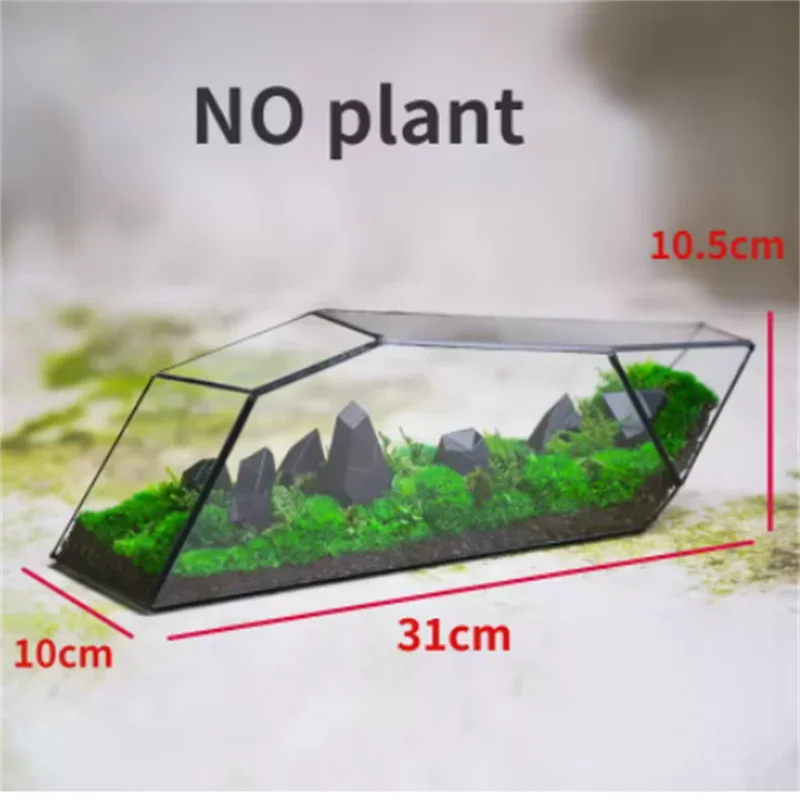 Micro Landscape Planter Moss Rainforest Tank Geometric Glass Flower Room Irregular Ecological Vase