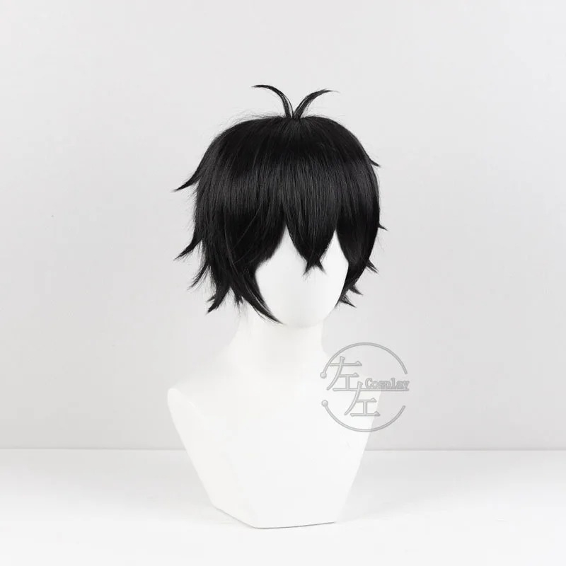 Jo Togame Cosplay Wig Sunglasses Anime WIND BREAKER Black Short Hair Ponytail Shishitoren Women Men Halloween Roleplay Prop