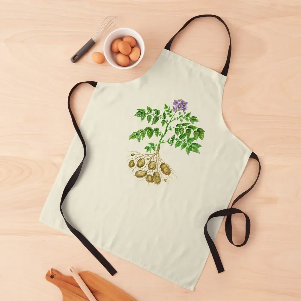 

Potato (Solanum tuberosum) Apron waterproof for women For Nail Stylist Smock for hairdressing Apron
