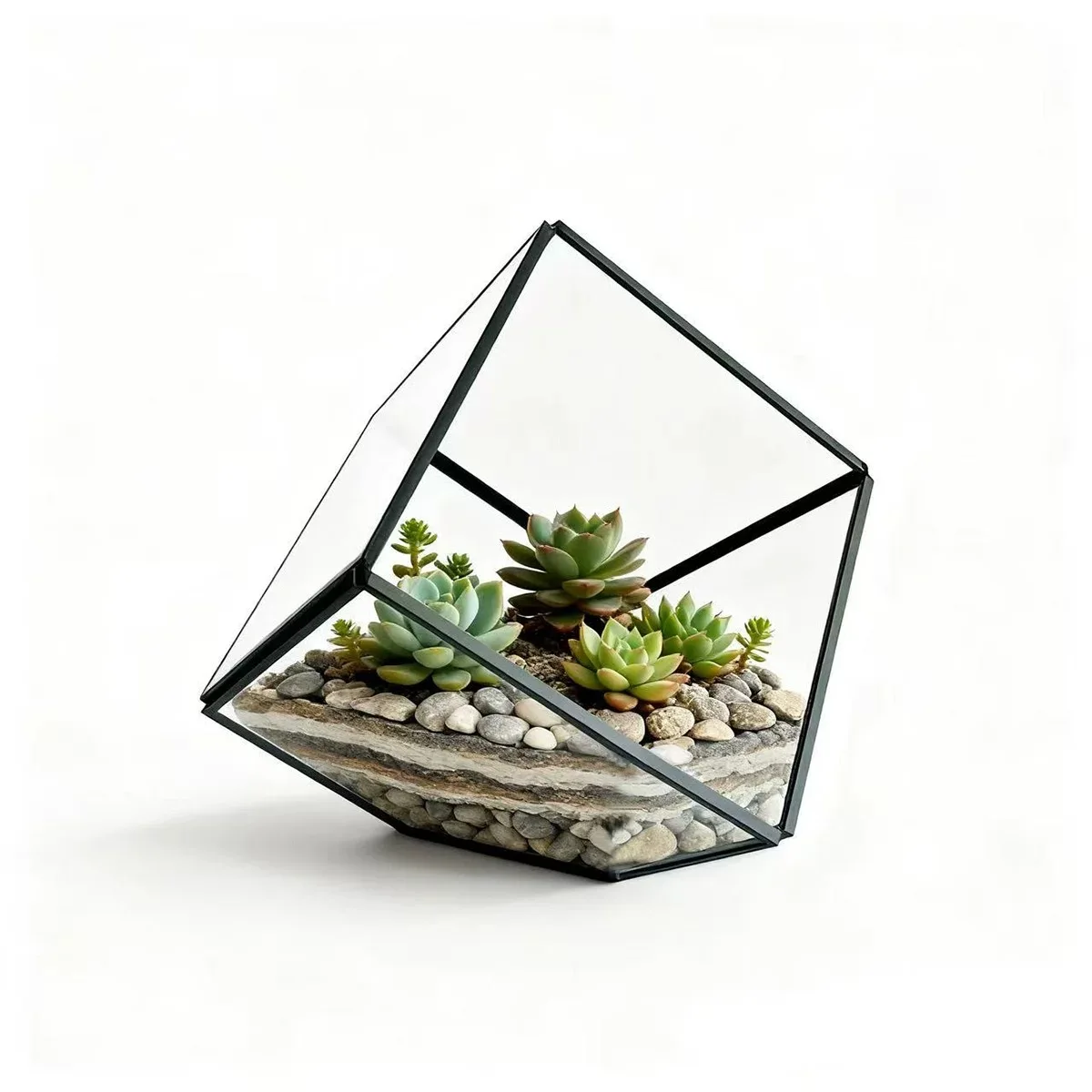 

The Cube Shape Solder Glass Terrarium Moss Green Plants Glass Decor Vase Succulent Bryophyte Plant Landscaping Glass Container