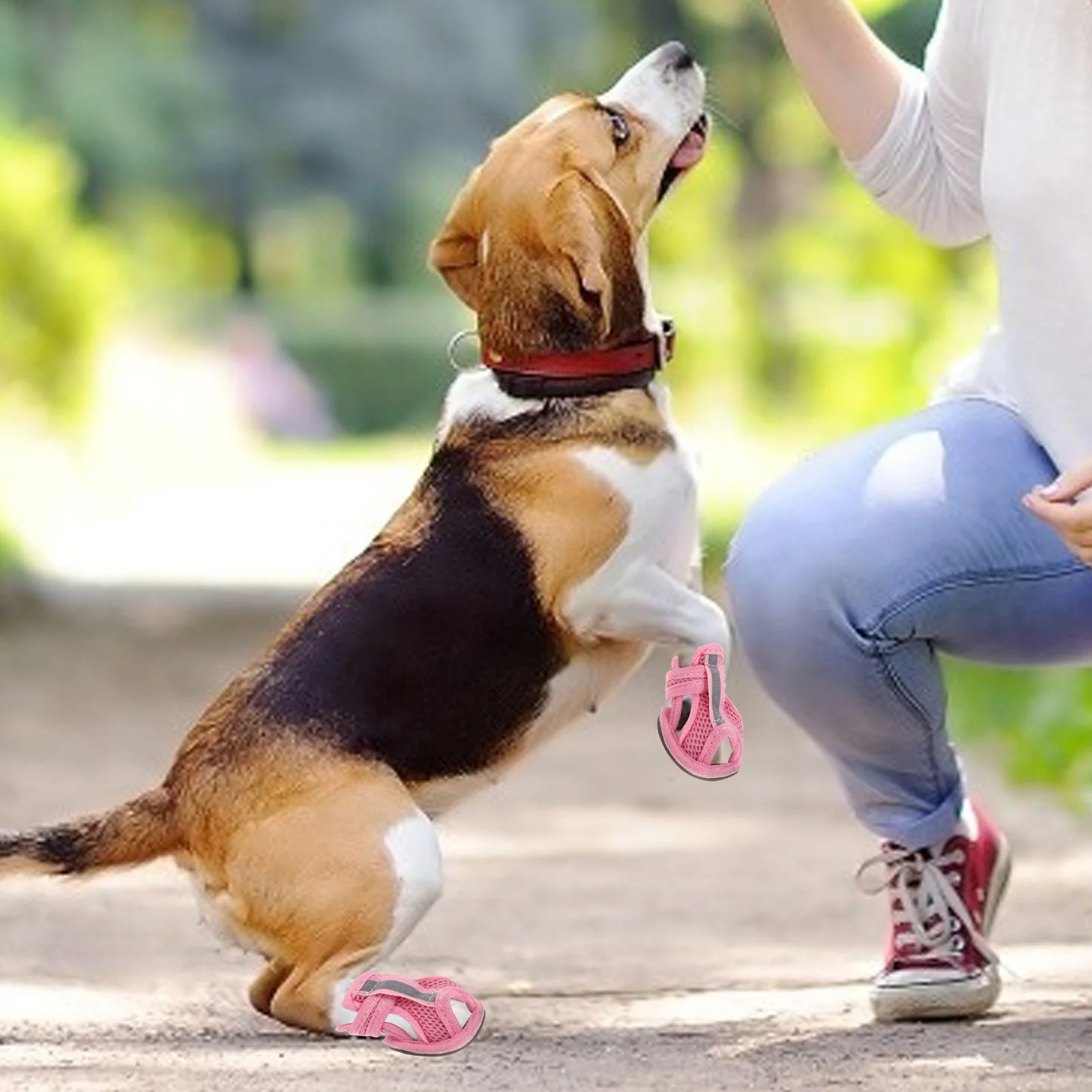 

4Pcs Pet Supplies Dog Shoes Mesh Material Ventilate Anti-Slip Sneakers for Summer Blue Size 3 Protect Paws Hot Ground