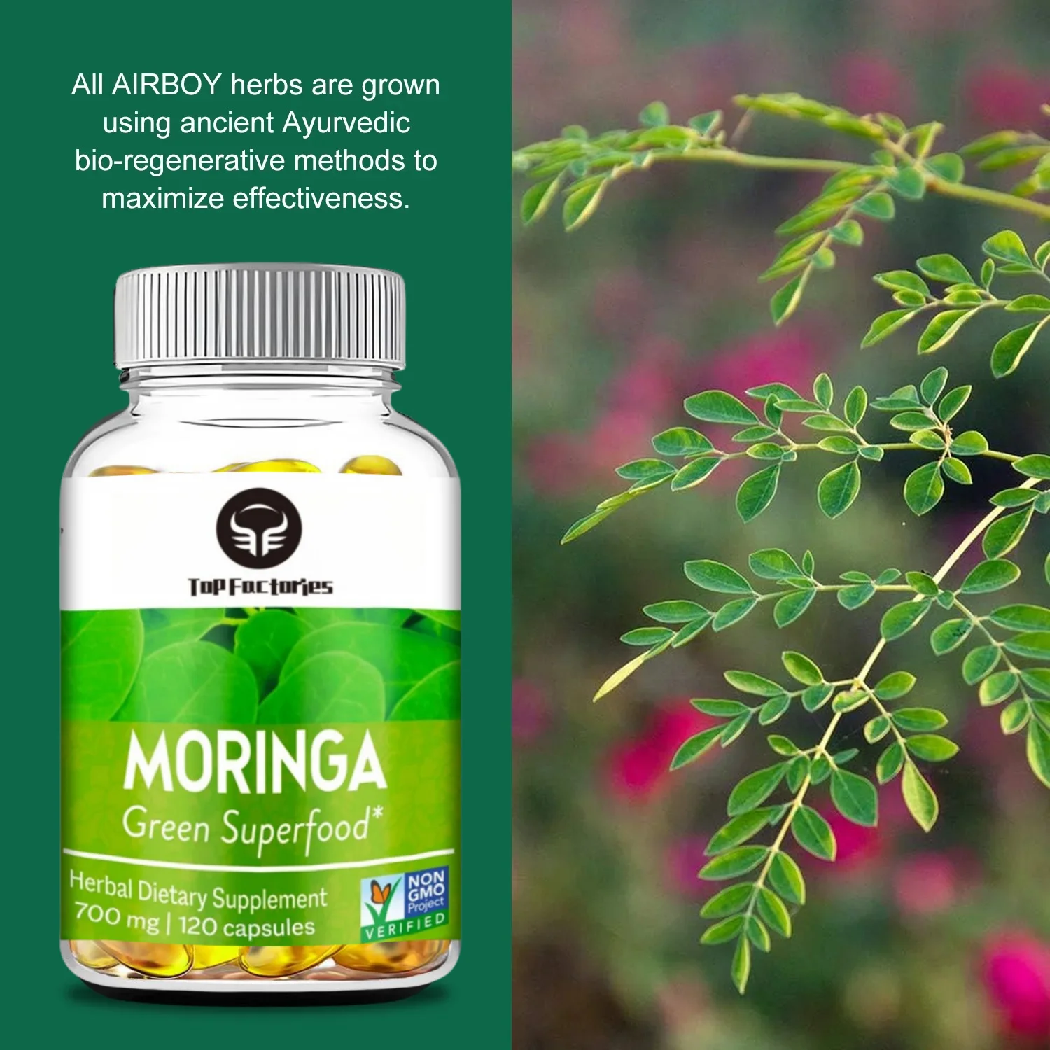 Top Factories Organic Moringa Capsules - Relieve Joint Pain and Promote Energy Production