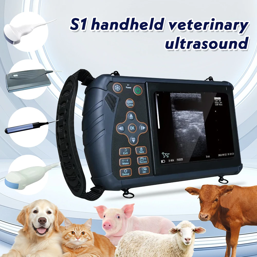 

Veterinry Ecografo Portatil Ultrasound Scanner Optional Probe 3.5MHz Convex Array Probe,5.0MHz,6.5MHz,3.5MHz Backfat Probe