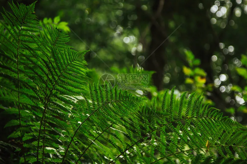 Copo diferencial de metal 4 unidades, copo diferencial 244016-3342 para Wltoys 244016 RC, acessórios de peças de reposição de carro