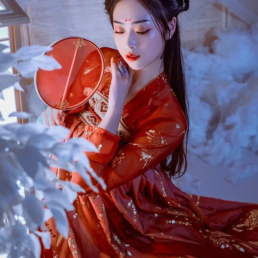 Oude Chinese Kostuum Vrouwen Kleding Traditionele Hanfu Vrouwen Plus Size Tang Dynastie Danskostuums Folk Fee Jurk Rode Outfits