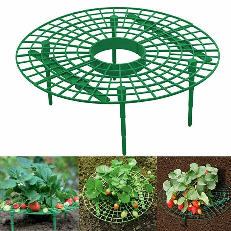 

5Pcs Gardening Stand Strawberry Stand Frame Holder Balcony Planting Rack Potted Fruit Support Plant Flower Climbing Vine Pillar