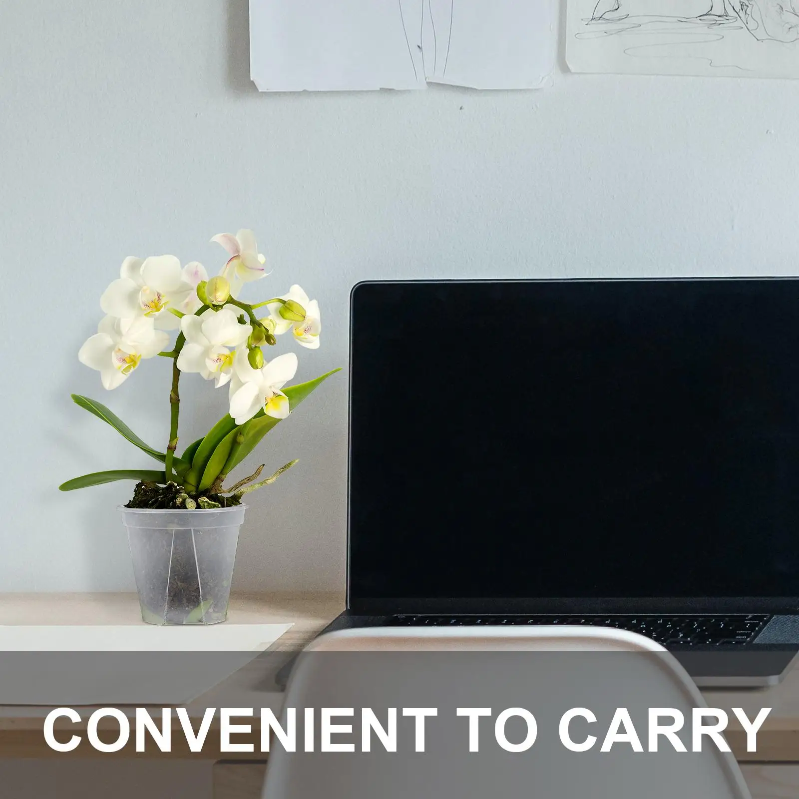 10 Pcs Transparent Rounded Pots 15cm Outer 14cm Inner 13 5cm High Root Control Breathable Flowerpots Suitable