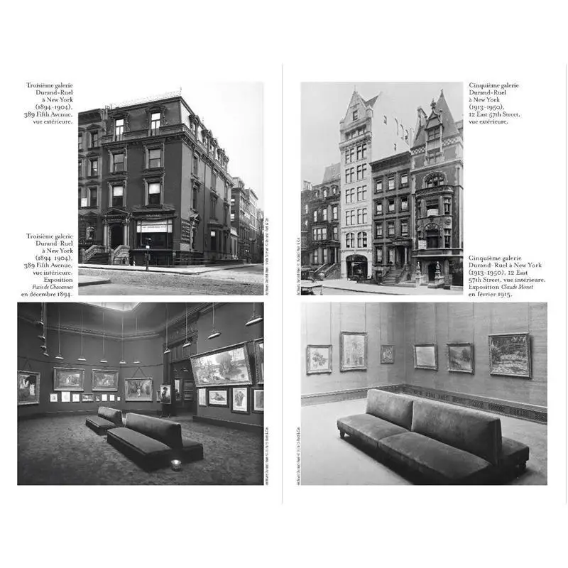 اكتشف مذكرات الانطباعيةين لبول دوراند رويل فلافي دوراندرويل بولويس دوراندرويل فلاماريون 9782080447227 كتاب