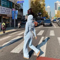 Sudadera con capucha y pantalones de terciopelo para mujer, traje deportivo con cremallera, Otoño e Invierno