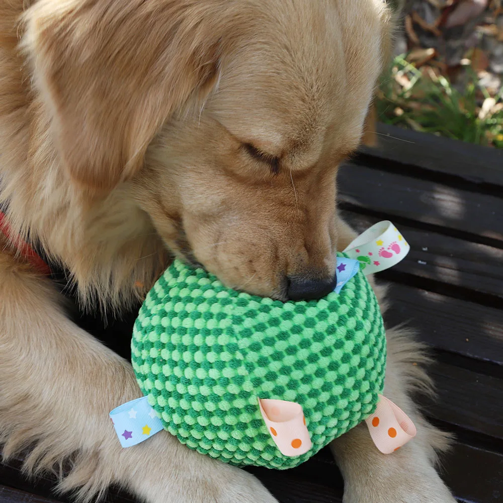 Thumbnail 4 - #25 Compare Puppy Fetch Toys Before You Buy