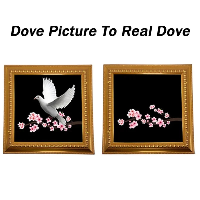 Dove Picture To Real Dove (Gold Frame) Magic Tricks Real Dove Appearing Production Magia Stage Illusions Gimmicks Mentalism Prop