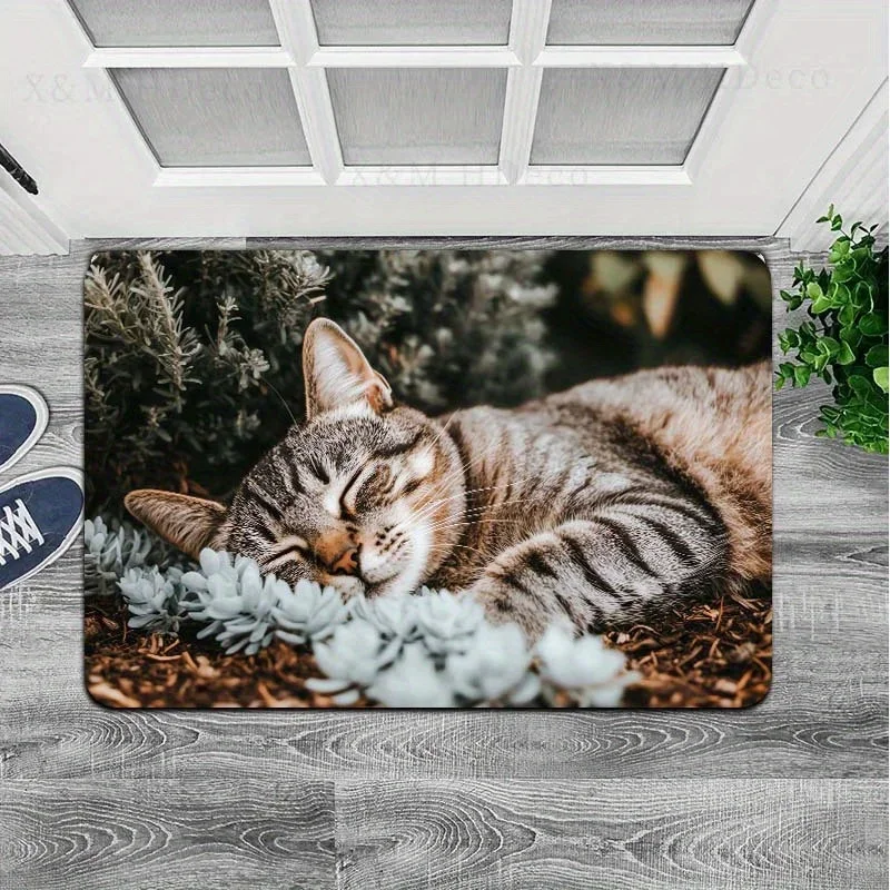 1pc Outdoor Nap Cat Esports Room Floor Mat, Bathroom Carpet, Kitchen Floor Mat, Living Room Carpet, Bedroom Carpet, Indoor Doo
