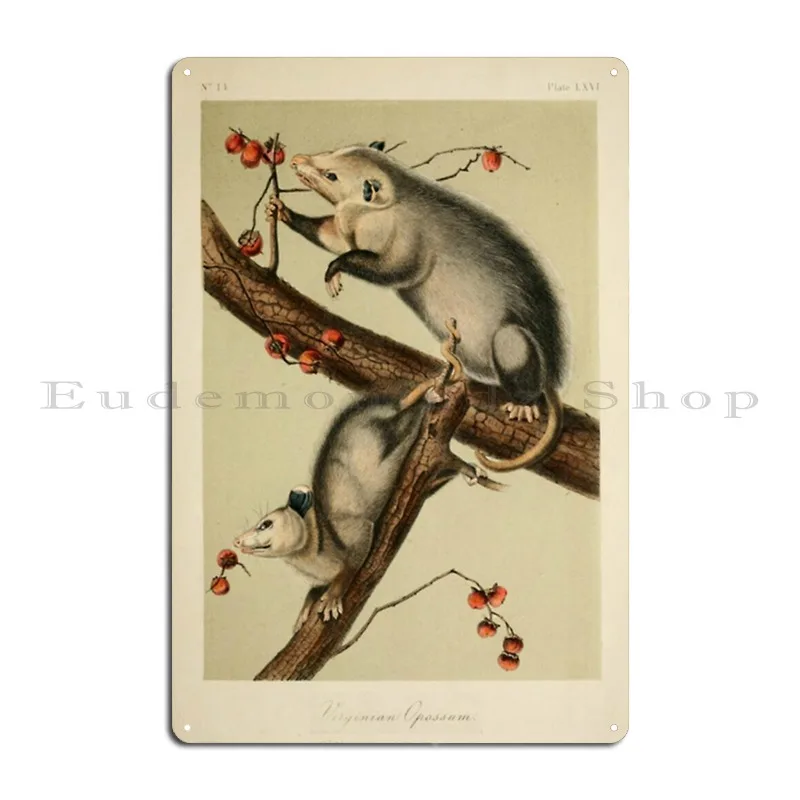 Naturalist Opossum Metal Sign Home Wall Mural Wall Cave Pub Designing Tin Sign Poster