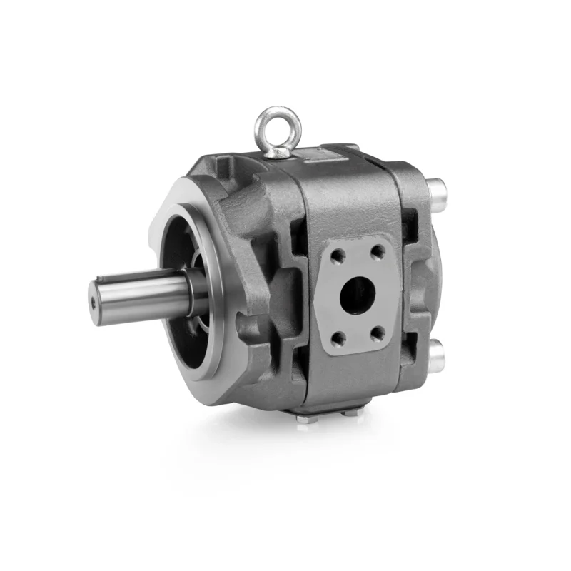 

For Sea Shipping CustomizedSUNNY HYTEC HG2-63 HG2-80 HG2-100 HG2-125 HG2-145 HG2-160 Hydraulic Internal Gear Pump for Voith Ecke