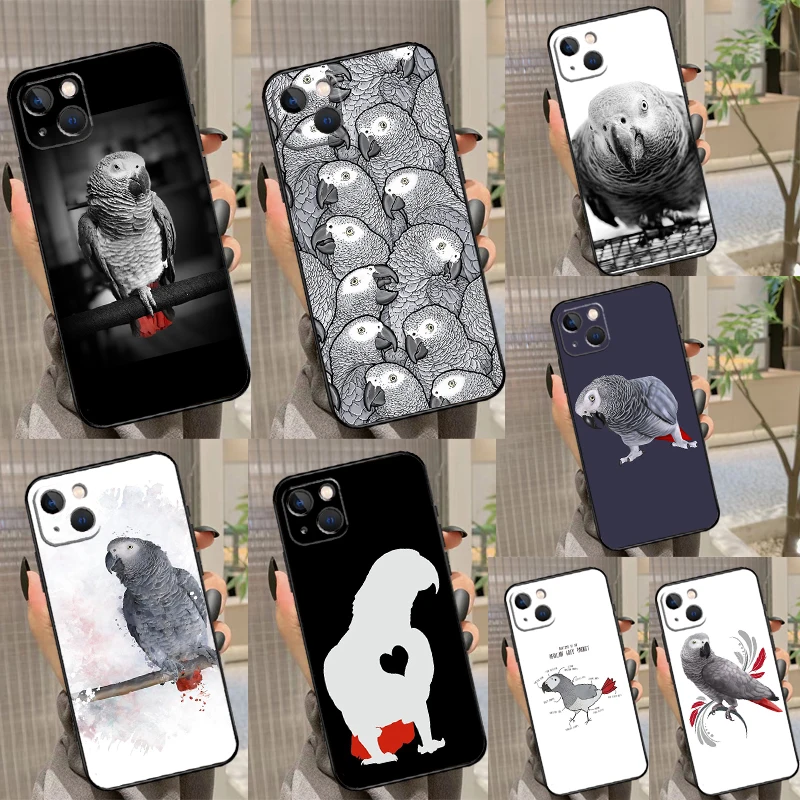 African Grey Parrot… - image