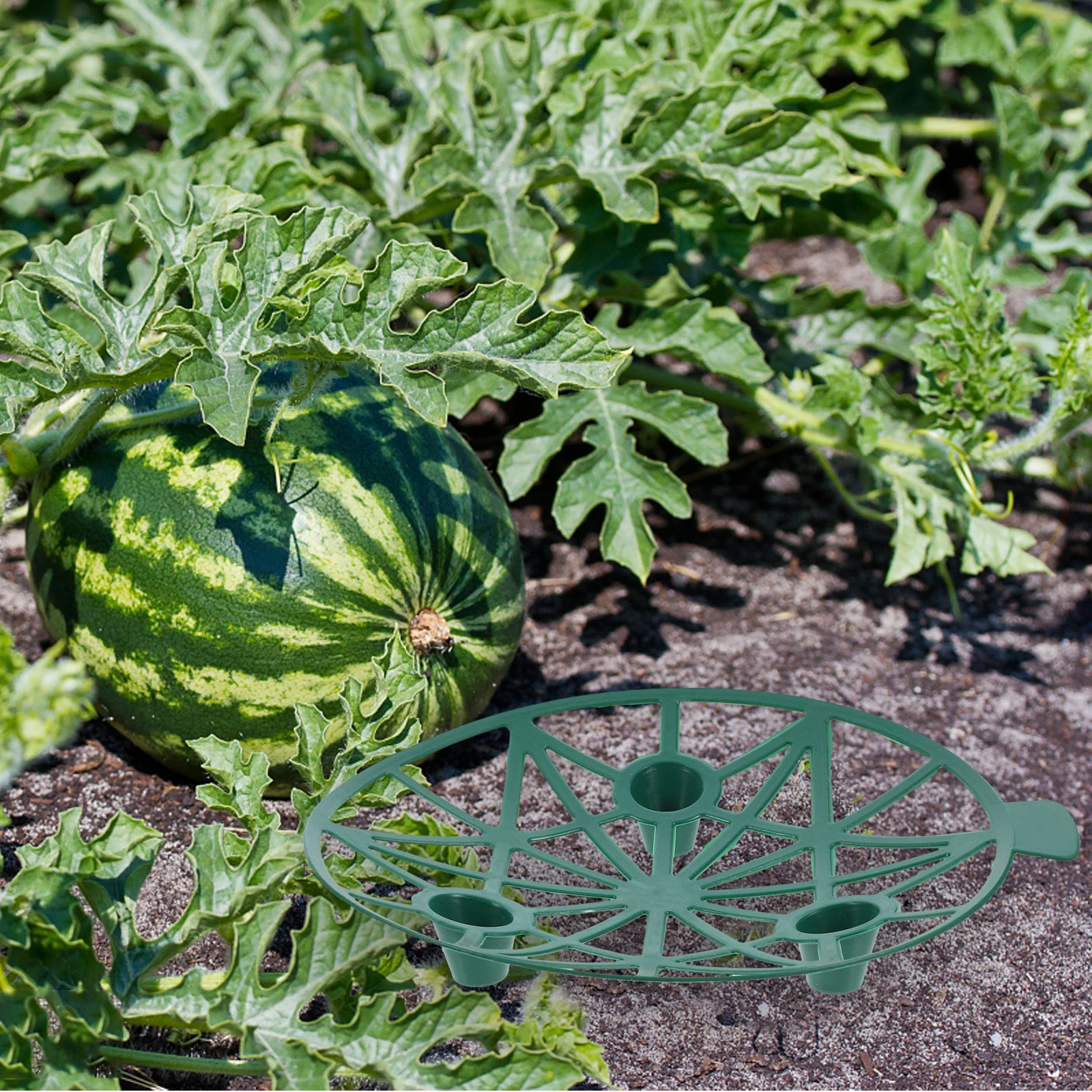 

4pcs Watermelon Supports Melon Support Garden Plastic Gardening Fruit Holder Stand Tray Base Design Stable Practical