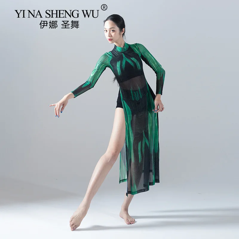 Classical Dance Cheongsam-style Long Skirt Classical Dance Female Professional Performance Mesh Long-sleeved Practice Clothes