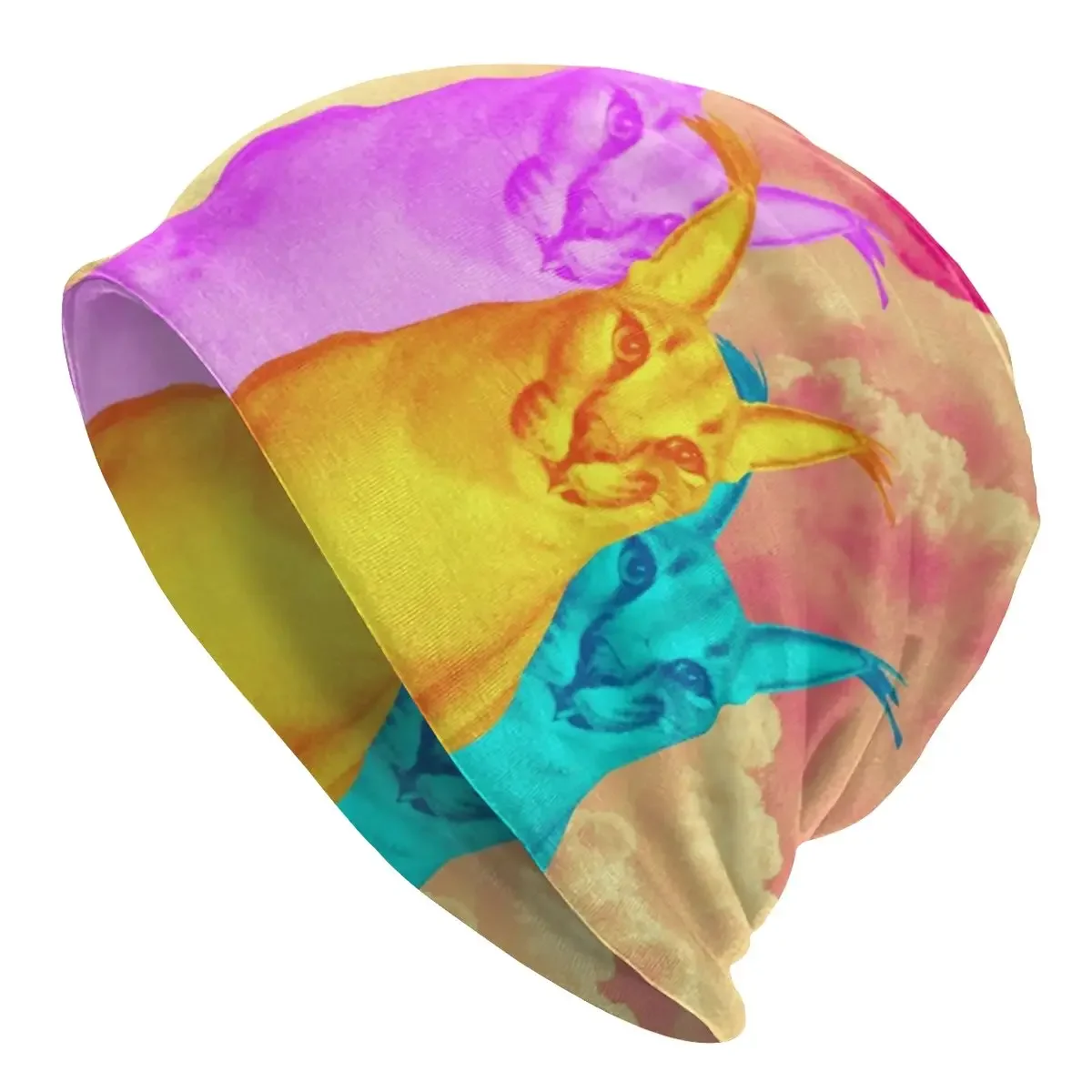 

Floppa Pink Skies Bonnet Hat Knitting Hats Hip Hop Outdoor Caracal Cat Skullies Beanies Hats Unisex Warm Head Wrap Cap