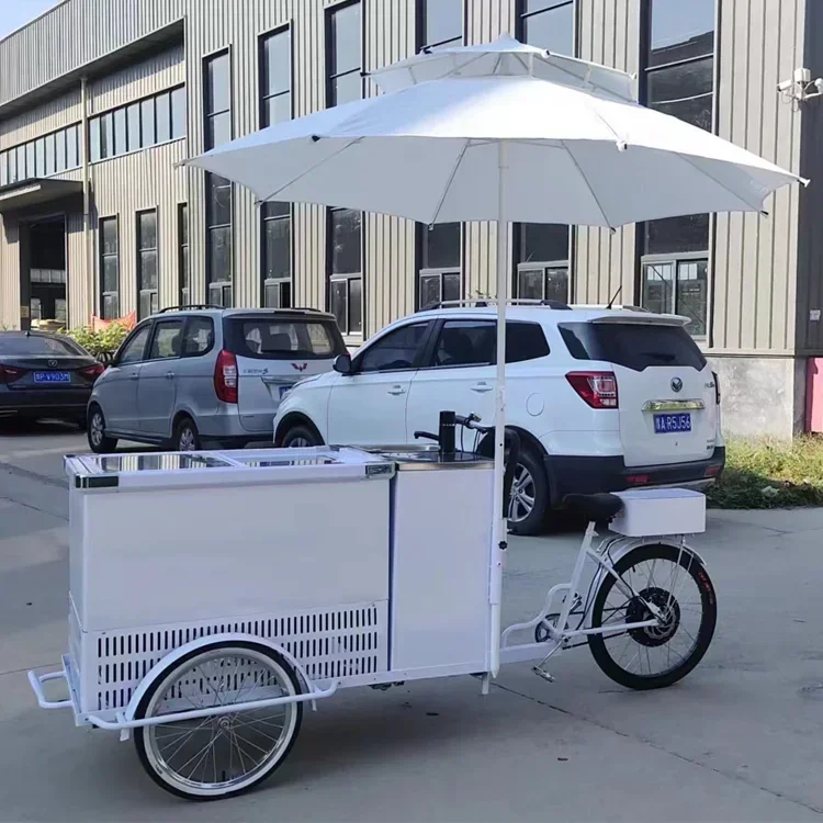 Selected high-quality products Freezer Electric Scooter Electric Tricycles 3 Wheel Electric Cargo Bike With Mini Cold Room