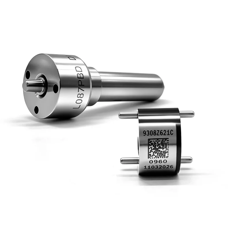 28239294 Control Valve Fuel Nozzle L087PBD Combination Suitable For Delphi EJBR04101D Fuel Injector LD1715