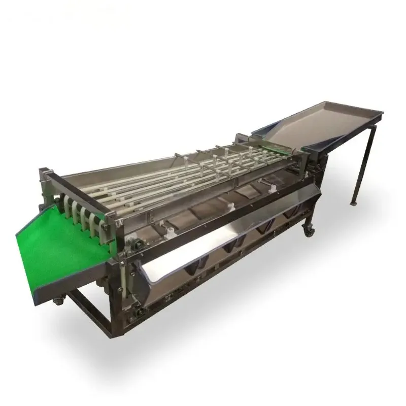 #High-Speed Automatic Fruit Vegetable Sorting Equipment Size Grading Machine for Mango Apple Other Vegetables Enhanced Efficienc