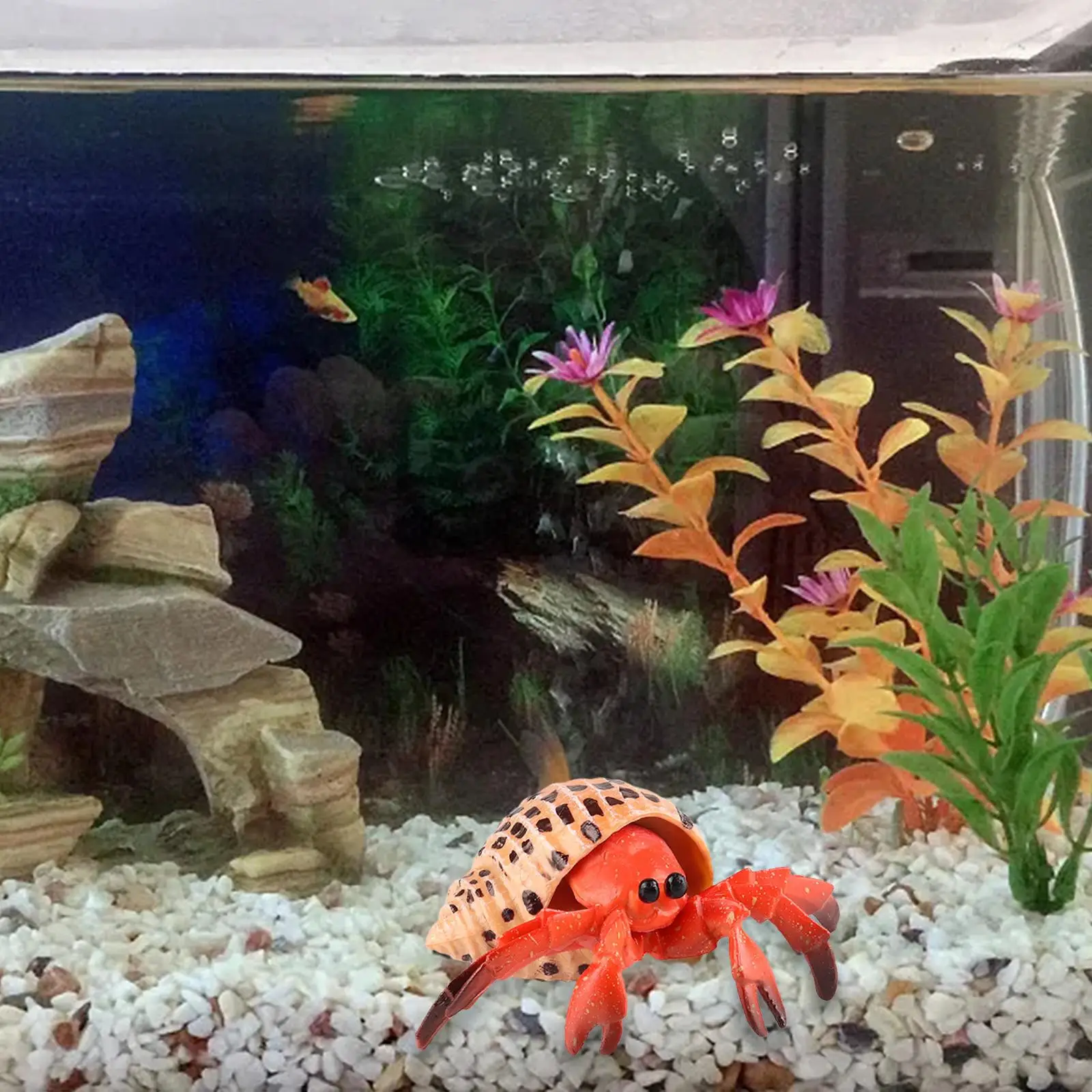 مجموعة لعب تمثال الحيوانات الناسك كراب مجموعة حوض السمك لعبة أطفال إبداعية نموذج محاكاة للفصول الدراسية